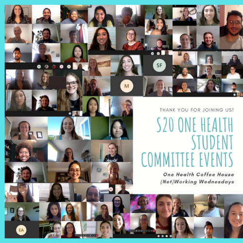 Collage of students participating in virtual One Health Student Committee S20 events including One Health Coffee Houses and (Net)Working Wednesdays