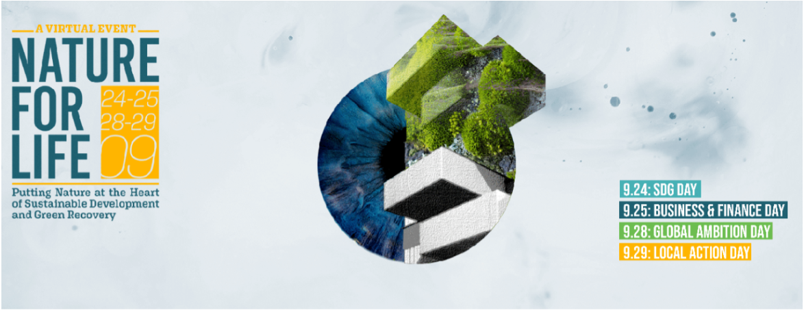 Banner announcing "A Virtual Event: Nature for Life. Putting Nature at the Heart of Sustainable Development and Green Recovery". Includes abstract graphic of a human eye with greenery and stone.