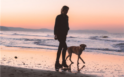 Image of person and dog on a beach at sunset
