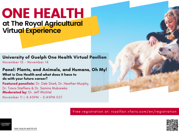 Poster announcing One Health at the Royal Agricultural Virtual Experience. University of Guelph One Health Virtual Pavilion November 10 - November 14. Panel: Plants, and Animals, and Humans, Oh My! What is One Health and what does it have to do with your future career? Featured panelists: Dr. Deb Stark, Dr. Heather Murphy, Dr. Travis Steffens & Dr. Samira Mubareka. Moderated by: Dr. Jeff Wichtel. November 11 | 4:45PM-5:45PM EST. Free registration at: royalfair.vfairs.com/en/registration. QR code for registration link, Image of person petting a dog on a grassy hill. One Health Institute logo.
