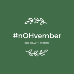 #nOHvember One Health Month logo with eucalyptus leaves graphic