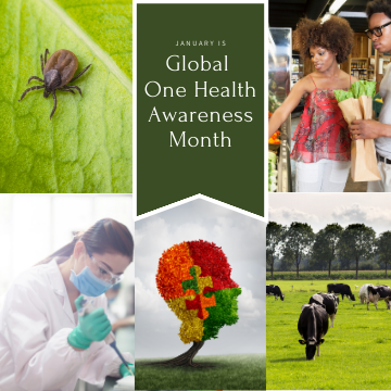 Collage of 5 photos (tick, woman working in lab, livestock, man and woman picking out groceries, tree shaped as head with puzzle pieces inside) surrounding middle banner that reads "January is Global One Health Awareness Month".