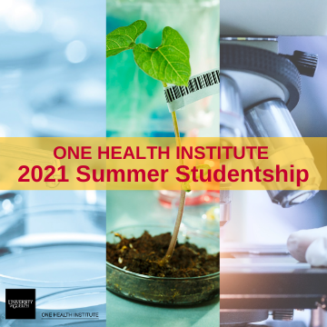 Collage of 3 photos (Petri dish, growing seedling, microscope) arranged in columns with the words "One Health Institute 2021 Summer Studentships" written over them.