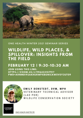 Poster with image of elephant in nature above text announcing "Wildlife, Wild Places, and Spillover: Insights from the Field. February 12th,  9:30 - 10:30 am. Join on Zoom using this link. Dr. Emily Denstedt, DVM, MPH, Veterinary Technical Advisor (Lao PDR), Wildlife Conservation Society." Headshot of Denstedt beside her title.