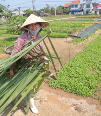 a photo of a Vietnamese farmer and their crops