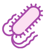 A purple graphic of Salmonella