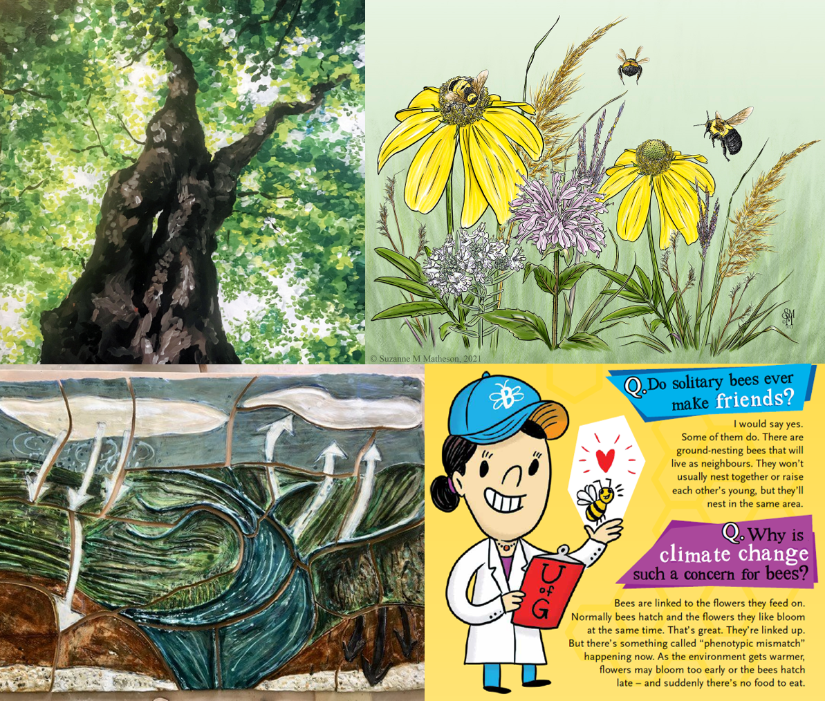 Four images. Top left shows painting of a tree. Top right shows illustrations of flowers and bees. Bottom left shows a clay piece that represents a watershed. Bottom right shows colourful school material on solitary bees.