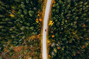 Image of car driving down the road with large forests on either side