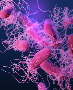 A photograph taking using microscopy of Salmonella bacteria.
