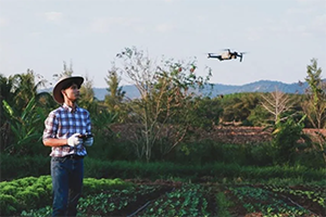 Man stands in agricultural field flying a drone
