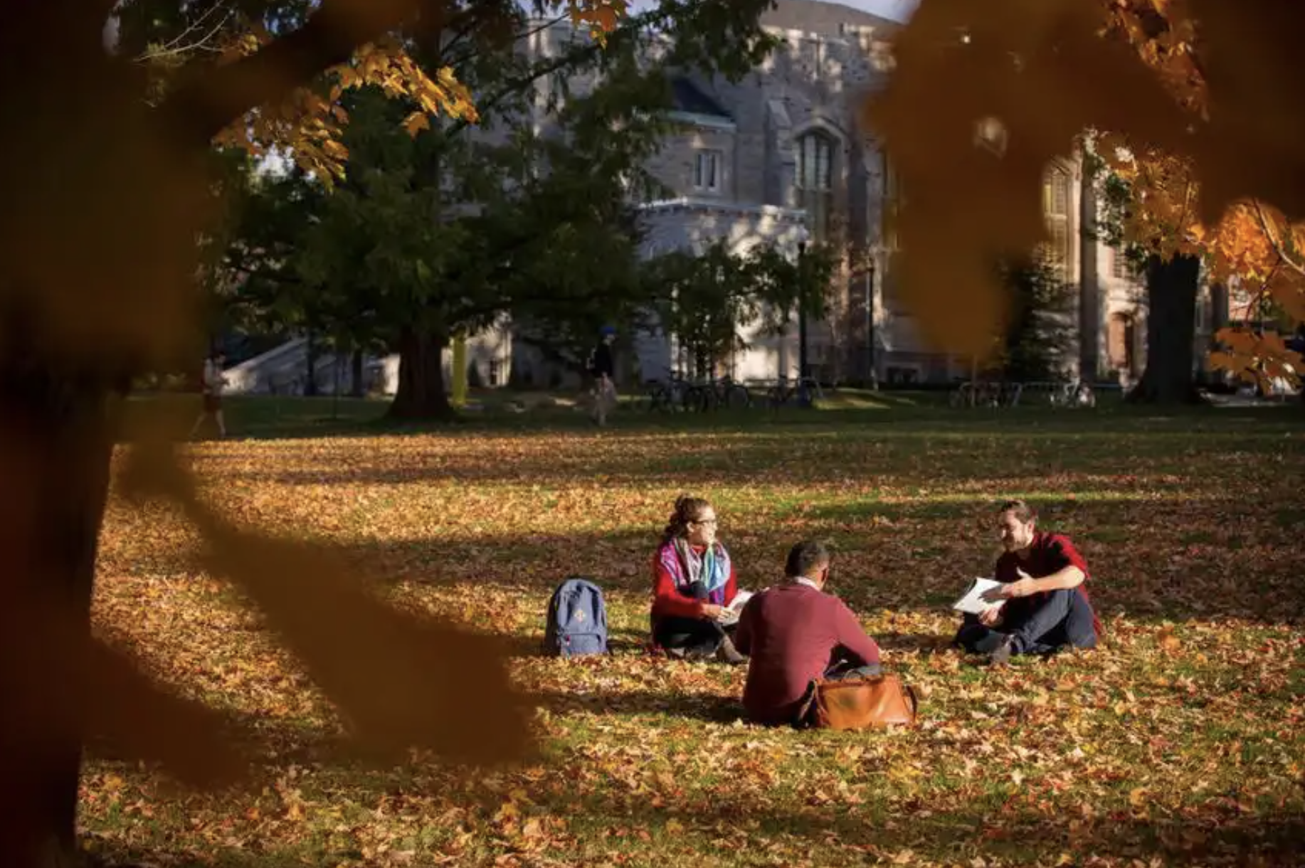A group of students seated outside on U of G campus in fall