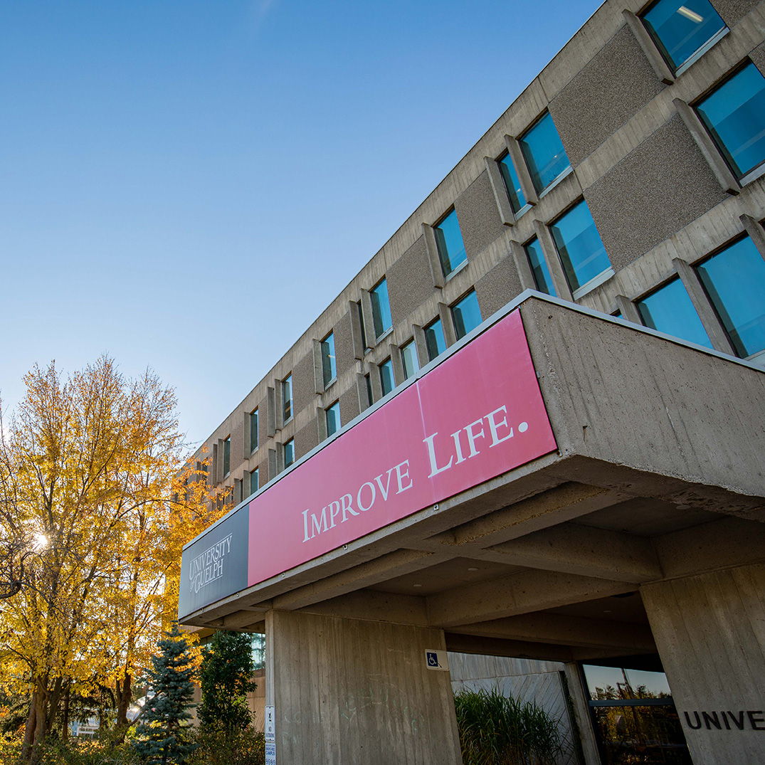 Image of "Improve Life" sign at front of University Centre on Guelph campus during the evening in fall