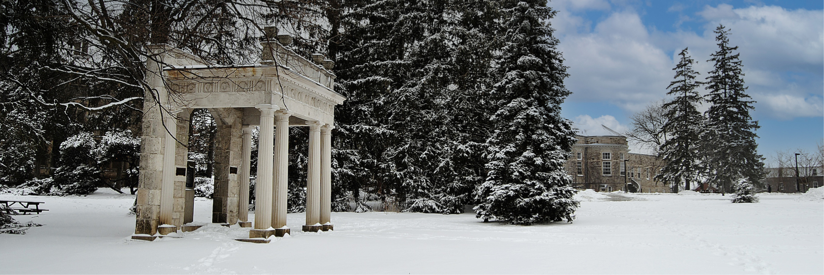 Winter photo at the University of Guelph main campus. A snow covered trees and a snow covered Johnston Green with the Portico in the lefthand side.
