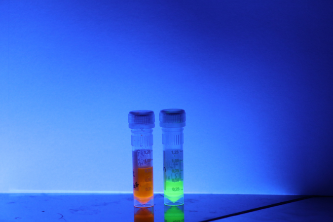 Two test tubes with orange and green fluorescence in blacklight. 